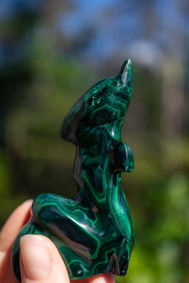 Malachite Dolphin
